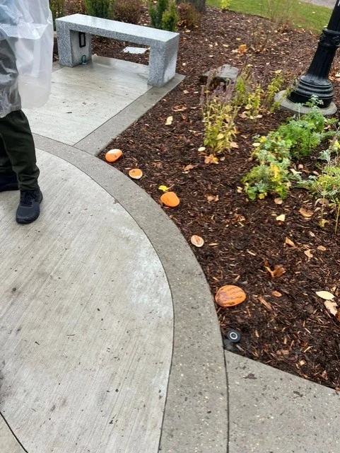 The same stretch of path from the other side, the stones following the curve of the bed past the bench and a lamp standard.