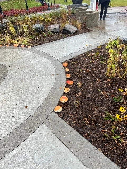 A wider view of the garden on a wet day, stones edging the beds where two paths meet, black-eyed susans still in flower.